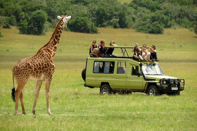 12-Days Best Of Kenya Big Five Wildlife Private Safari - Samburu National Reserve: A Unique Ecosystem