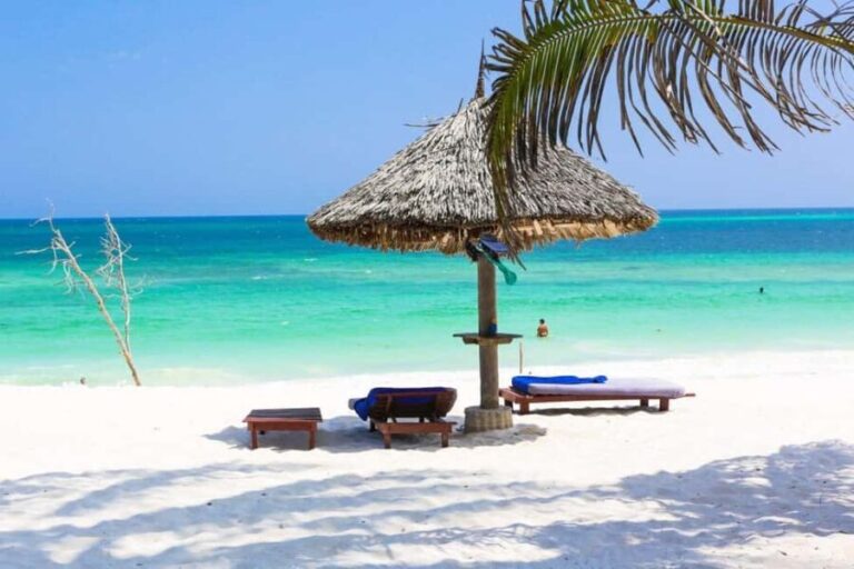 12 Days Best Of Tanzania Safari and Zanzibar Beach Tour - What’s Included & Not Included