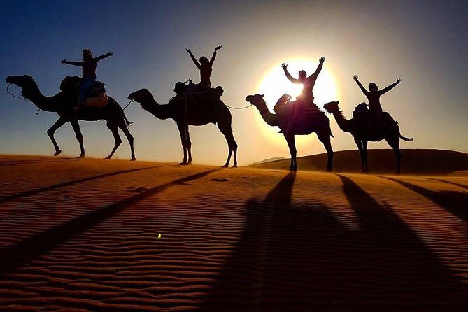12 Days From Casablanca- Cultural Immersion Tour - Why This Tour Offers Great Value