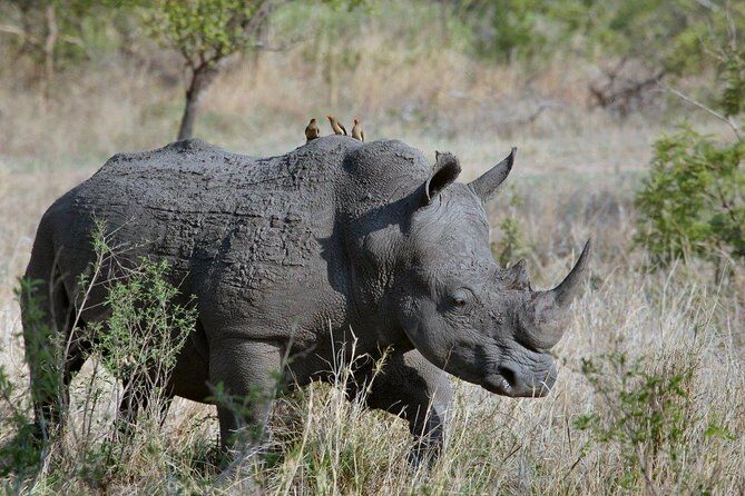 12 Days Kenya Tanzania wildlife Joining Tour - Who Will Love This Tour?