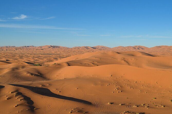 12 Days Private Luxury Sightseeing Tour in Morocco - What Travelers Love About This Tour