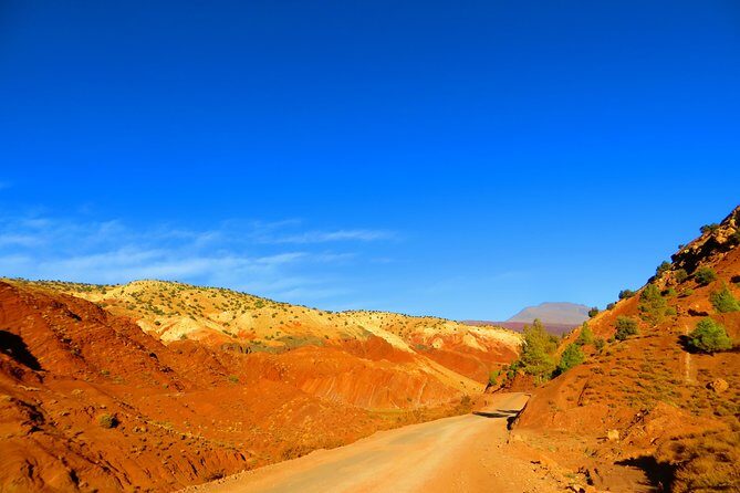 12 Days Private Tour in Morocco: Cities, Atlas and Desert - Authentic Experiences & Authentic Value