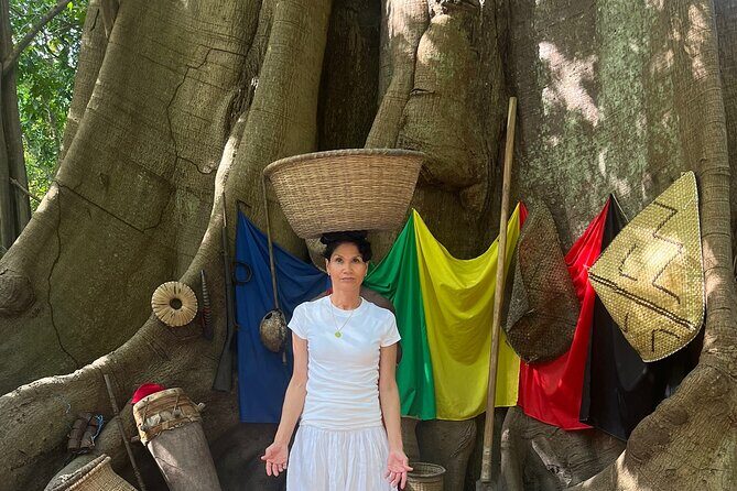 12 days Private Tour Package in Senegal and the Gambia - The Sum Up: Is This Tour Right for You?