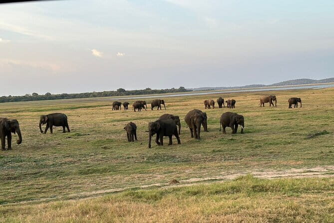 12 Days Tour Grand Discovery of Sri Lanka - Final Thoughts