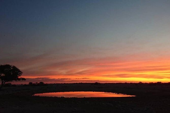 12 Days Tour Namibia In Plus | Self Drive Lodge - Who Should Consider This Tour?