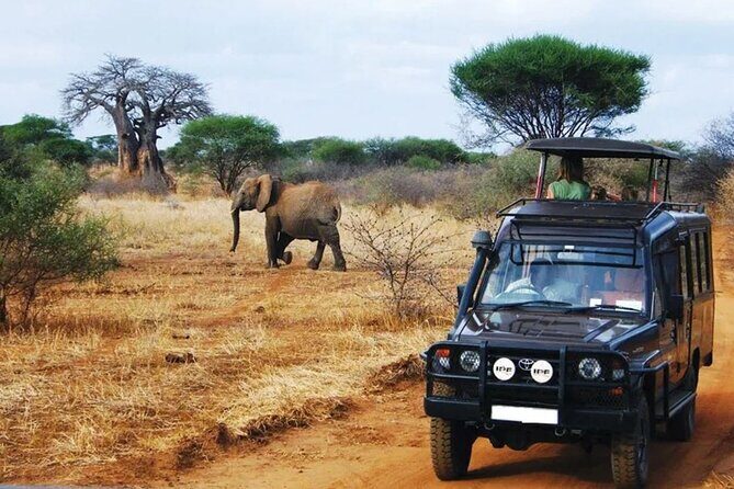 13 Day Safari - Cape Town to Johannesburg - FAQ