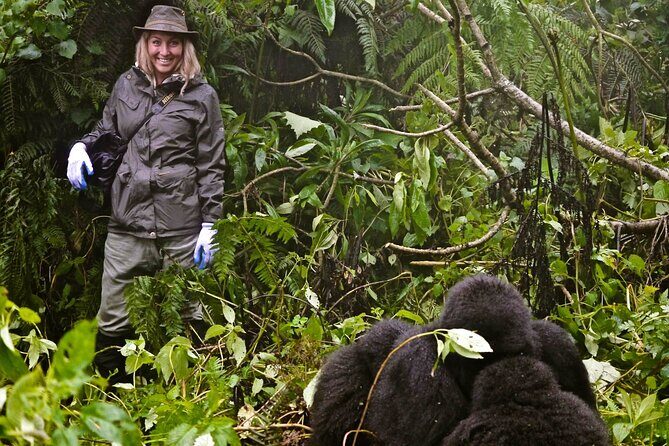 14 Days Uganda Rwanda Primate Tour - Why Travelers Love This Tour