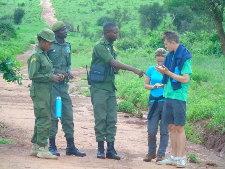 14Days Volunteer Community Wildlife Sanctuary - Final Night in Nairobi