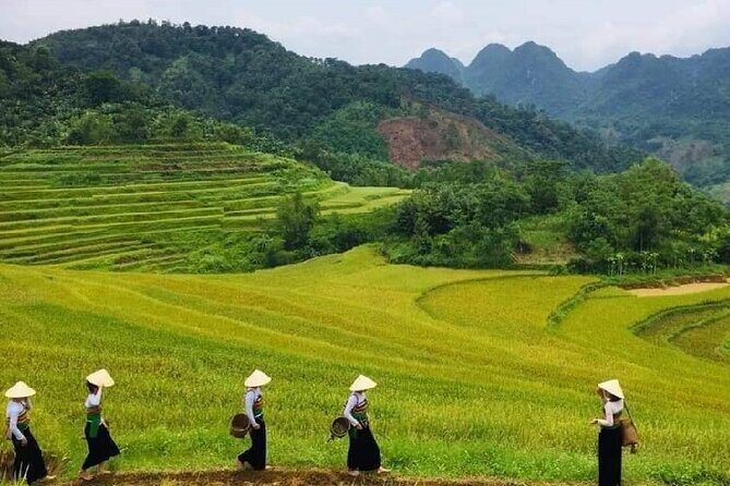 15-Day Vietnam Itinerary All in One | Travel Package 2025-2026 - What Travelers Say