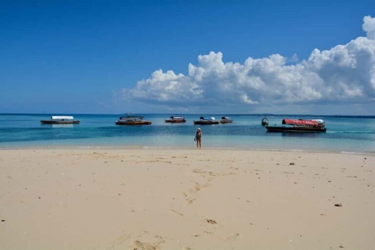 16-Day Mt.Kilimanjaro, Northern Safari, and Zanzibar Beach - What Makes This Tour Stand Out