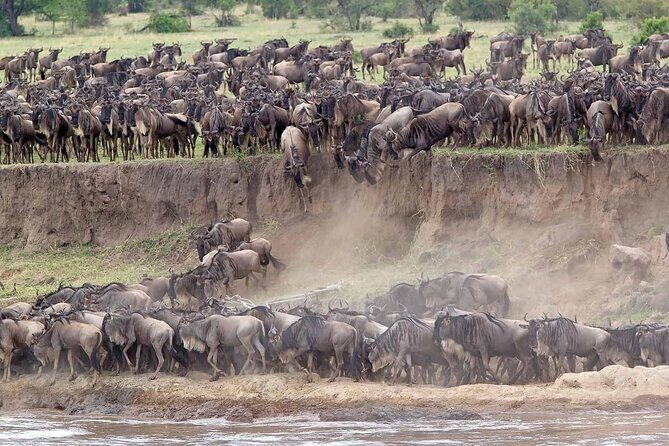 16-Day Photo Tour to Uganda and Tanzania - Logistics and Value