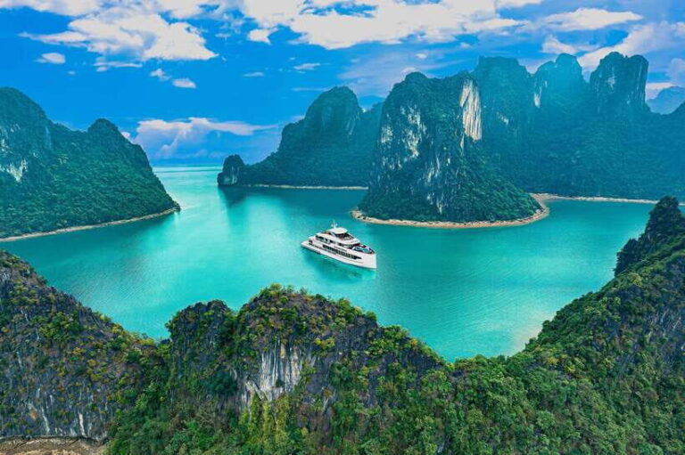 1Day 5 Stars Cruise:Swimming,Hiking & Kayaking, - What the Reviews Say