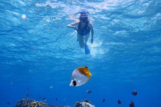 1day kayak tour in Kerama Islands and Zamami Island - What to Expect from the Tour