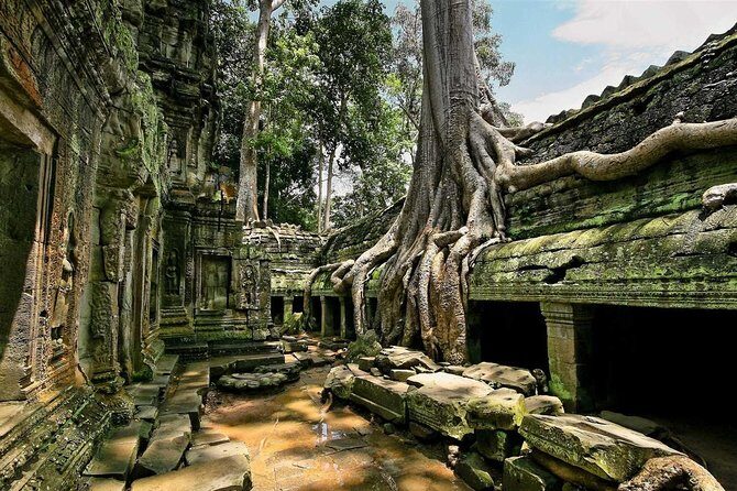 1day private tour all main temple in Angkor,sunset at TonleSap floating village - Angkor Wat: The Worlds Largest Religious Monument