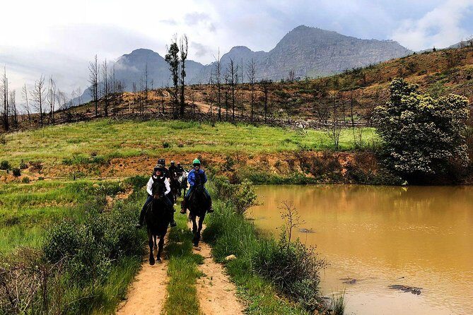 1h Horse Trail - About the Horses and Comfort