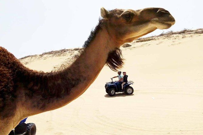 1h quad bike on the beach - Who Will Love This Tour?