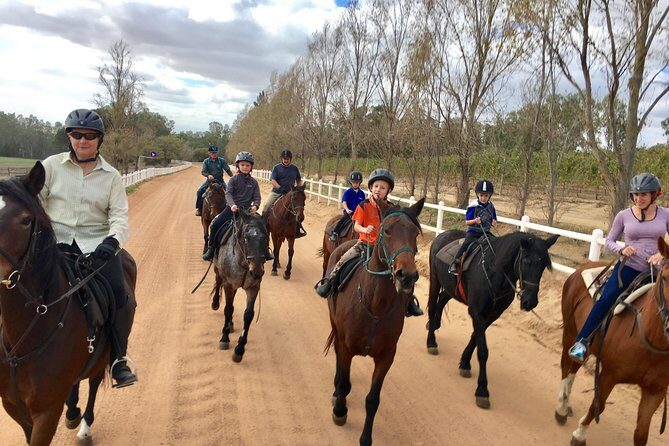 1h30m Horse Trail - Why This Ride is Great Value
