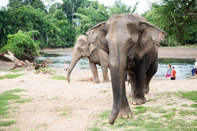 2 day 1 night Elephant World Kanchanaburi from Bangkok - Final Thoughts