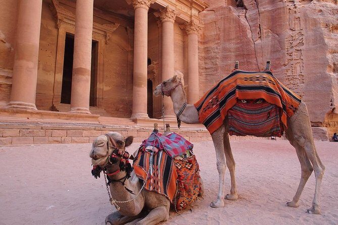 2 Day 1 Night Petra & Wadi Rum Shore Excursion (ON Petra) - Why This Tour Works — and What It Means for You