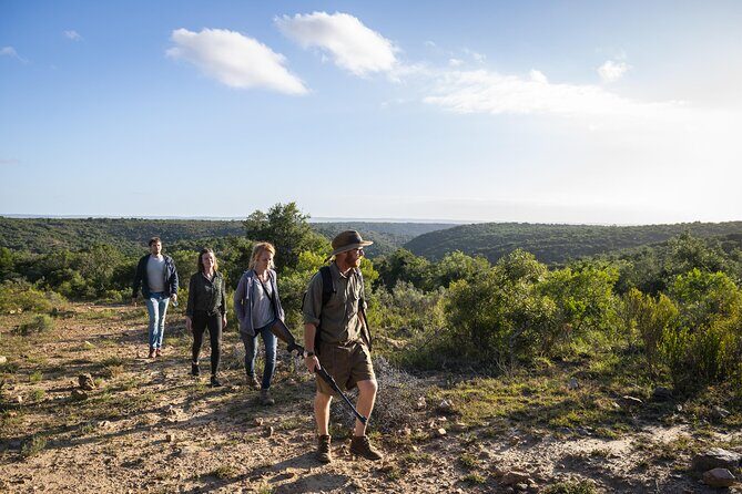 2 Day Addo Elephant Park Safari - The Sum Up: Is This Safari Right for You?