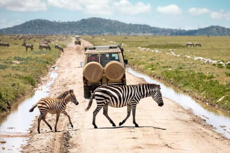 2 DAY-ADVENTURE SAFARI IN TANZANIA - What’s Included and What to Know
