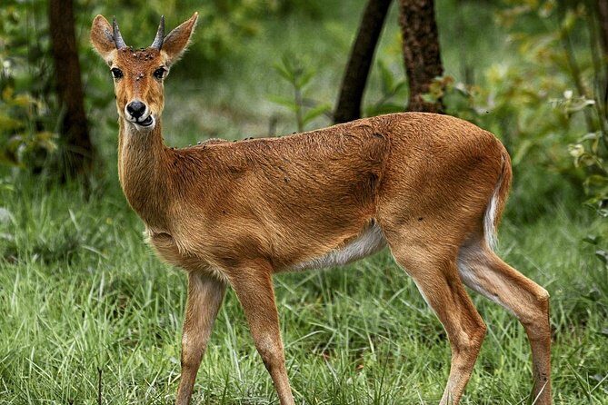 2-Day Akagera National Park Safari Adventure - Final Thoughts