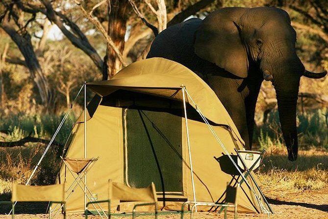 2-Day Camping Safari in Chobe National Park from Victoria Falls - The Itinerary Breakdown