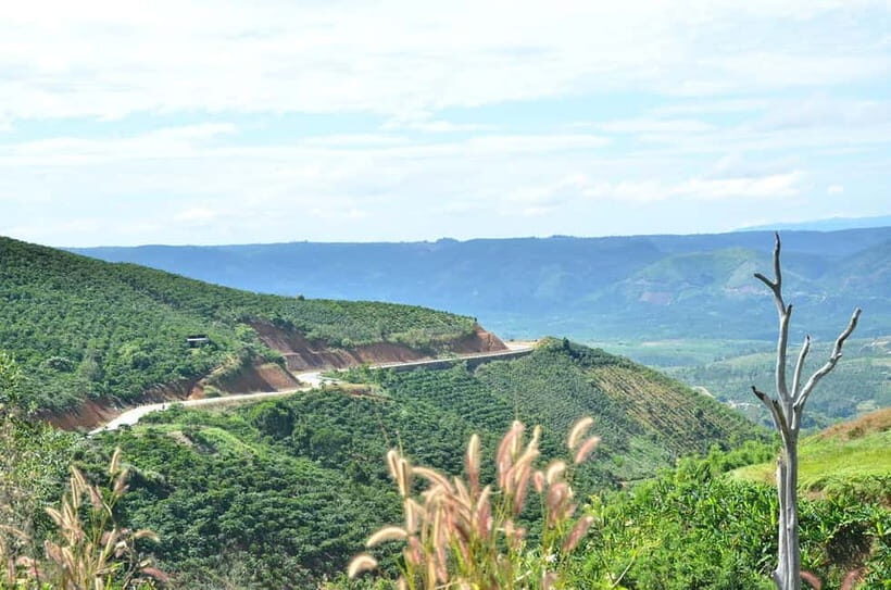 2-Day Dalat Motorcycle Tour To Mui Ne - Who Will Love This Tour?
