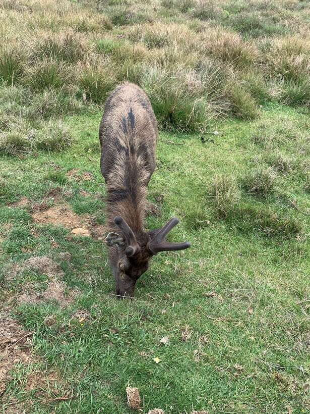 2-Day Ella Tour: Diyaluma Falls Horton Plains & Scenic Train - The Value of This Experience