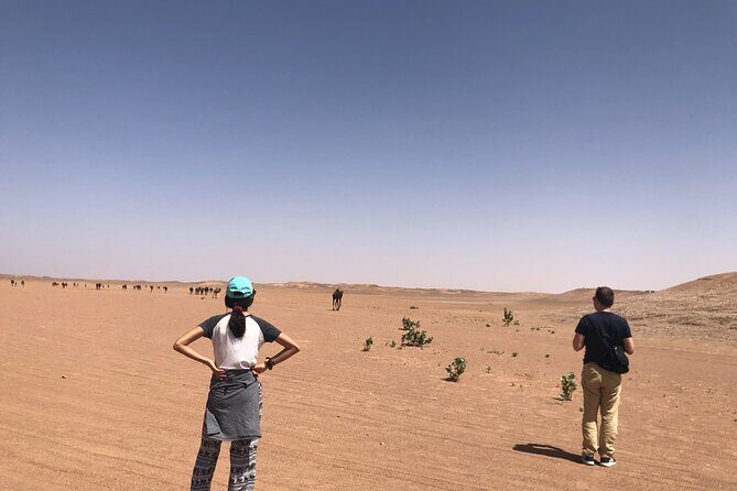 2-day Erg Chegaga Desert Tour from Mhamid South of Morocco - What Sets This Tour Apart