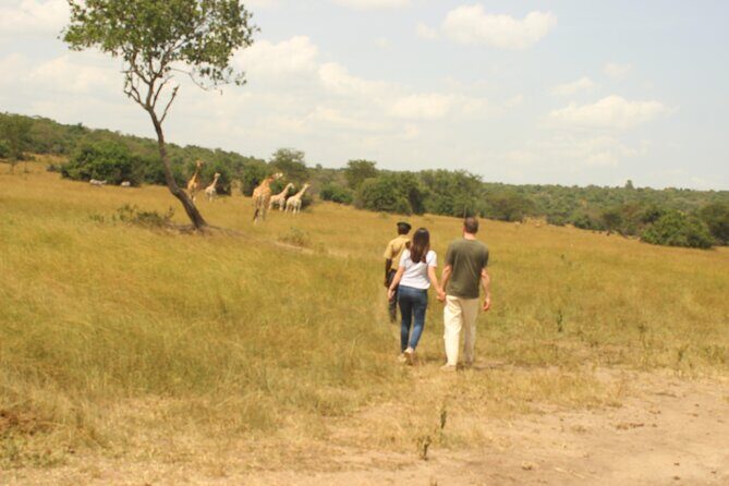 2 Day Lake Mburo National park wildlife Safari - Authentic Experiences and Traveler Insights