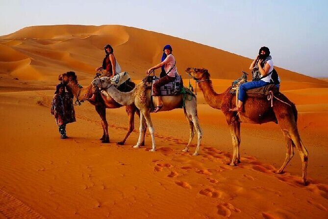 2 Day Luxury Desert Tour from Fes to Fes or Marrakech - Authenticity & Reviews