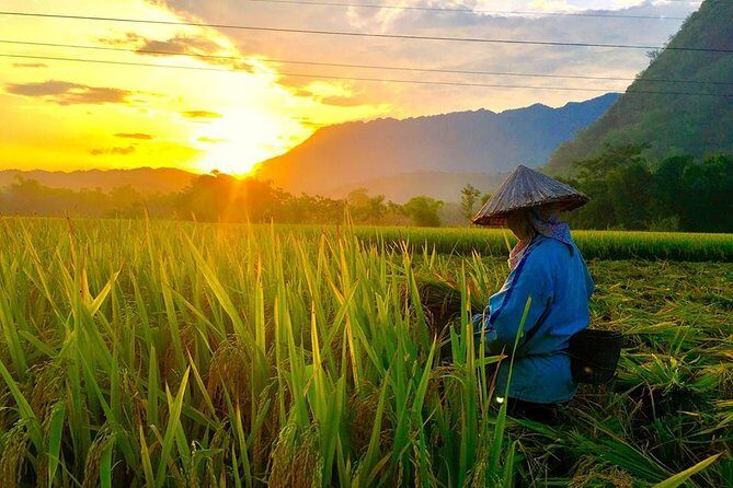 2-Day Mai Chau Valley Tour from Hanoi - The Sum Up