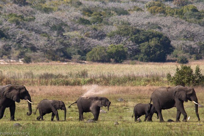 2-Day Maputo Special Reserve Guided Tour