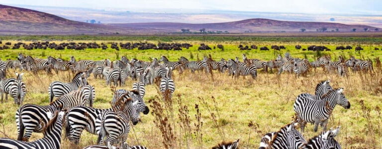 2-Day Migration Safari with a Hot Air Balloon Adventure. - Key Points