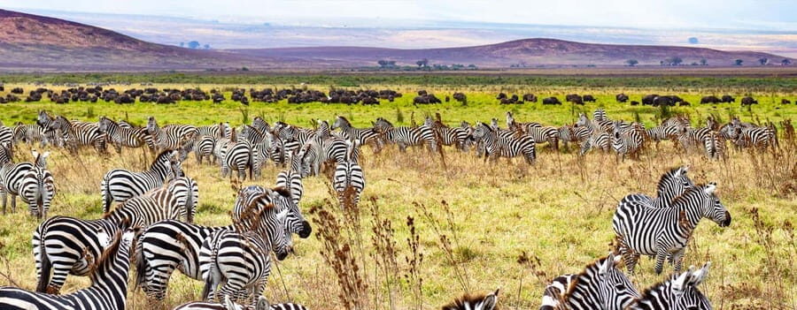 2-Day Migration Safari with a Hot Air Balloon Adventure. - Key Points