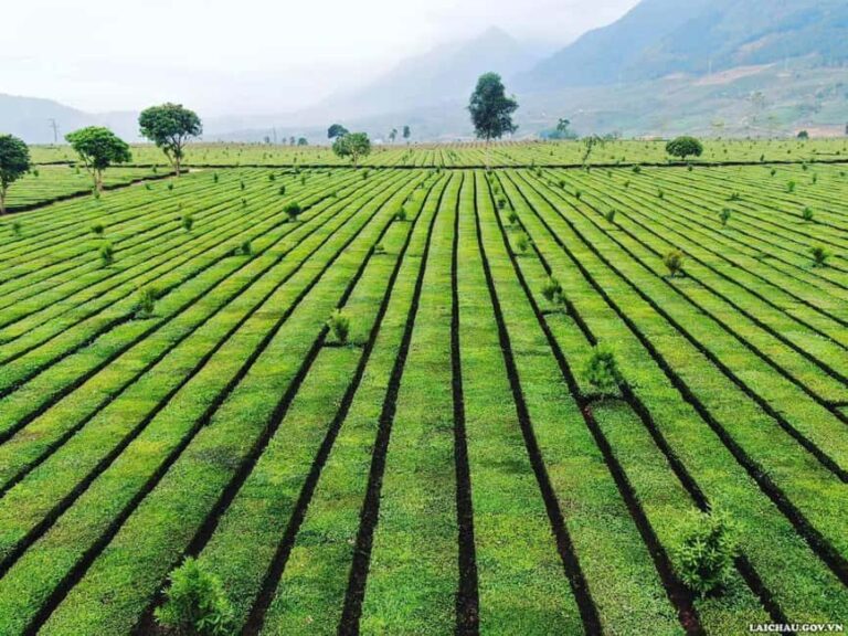 2-Day Motorbike Tour to Mu Cang Chai Loop from Sapa - What’s Included and What to Expect