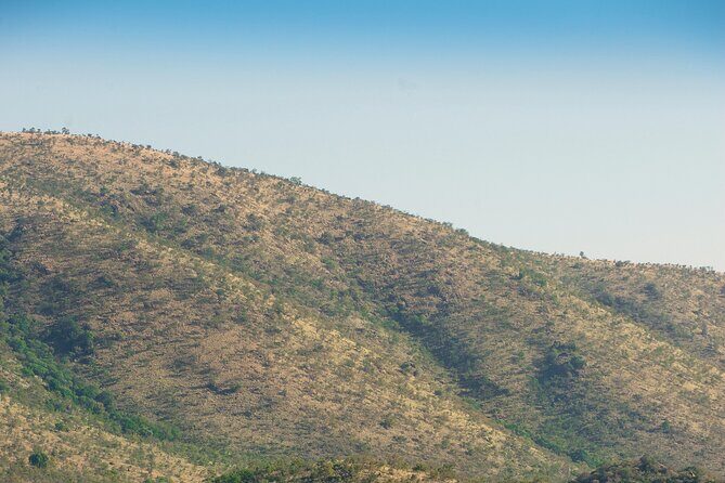 2 Day Pilanesberg Camping Safari - The Experience of a Lifetime