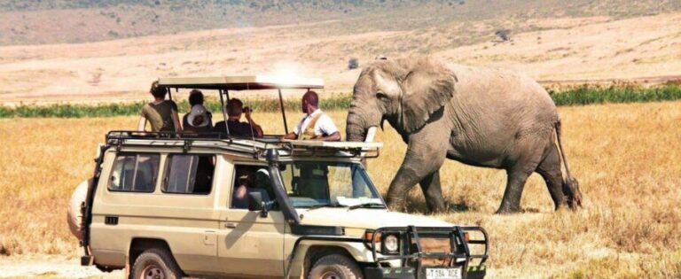 2-Day Private Luxury Safari from Zanzibar with Flights - Final Thoughts: Is it Worth It?