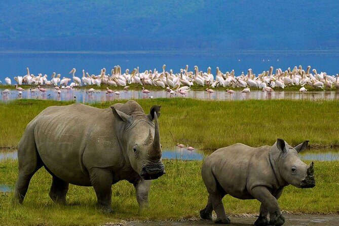2-Day Private Safari to Lake Nakuru and Hell's Gate Parks - Final Thoughts: Who Should Consider This Tour?