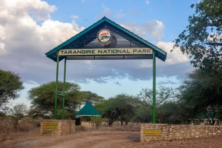 2 Day Private Tarangire and Ngorongoro Crater Safari - Day 2: The Magnificent Ngorongoro Crater