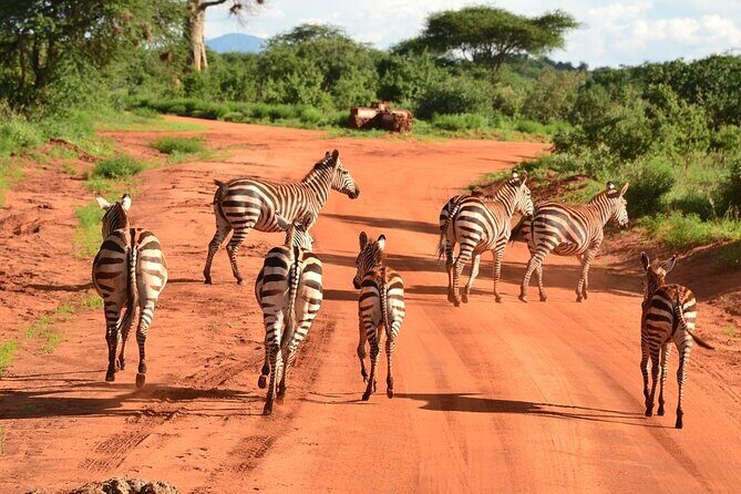 2-Day Private Tour in Tsavo East - Who Is This Tour Best For?