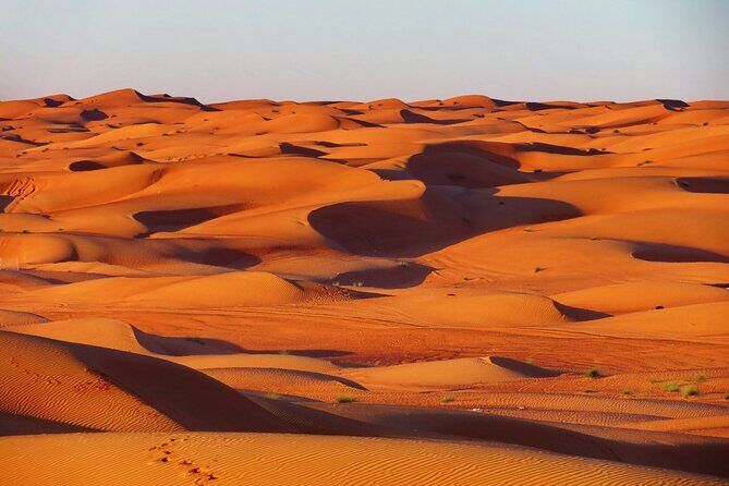 2 Day Private Trip to Two Oasis with Overnight Desert Camping - Authentic Experiences and Traveler Insights
