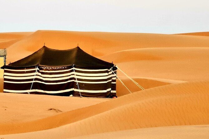 2-Day Private Wahiba Sands Desert Camping Tour from Muscat - Detailed Breakdown of the Tour Experience