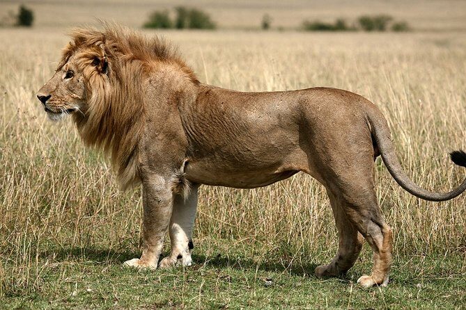 2 Day Safari Isimangaliso Wetland Park & Hluhluwe Imfolozi from Durban - Logistics and Comfort