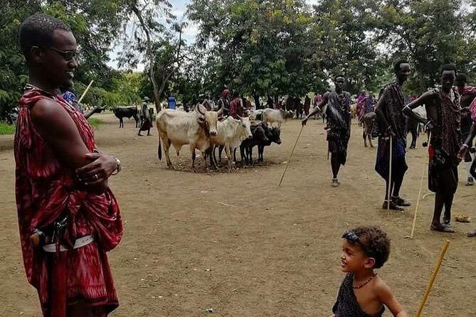 2 Day Safari To Mikumi National Park + transfers from Dar Es Salam - The Authenticity and Experience