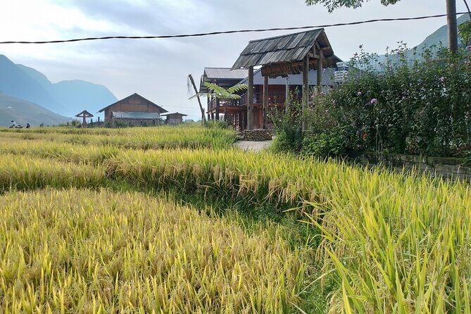 2-Day Sapa Guided Tour Slipping in Homestay From Hanoi - Why This Tour Provides Value