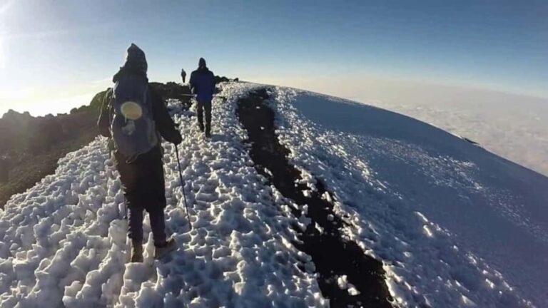 2-Day Short Mount Kilimanjaro Trek - The Included and Excluded Elements: What’s in Your Package?