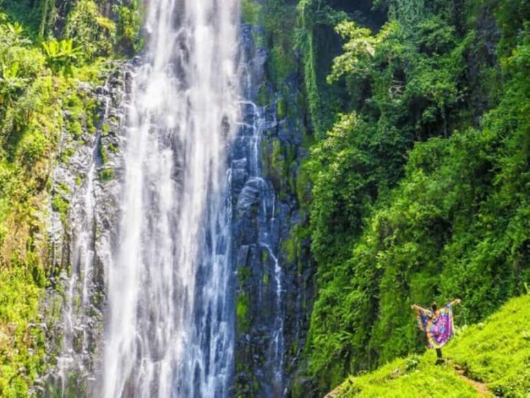 2-Day Simple Hiking Materuni, Chemka Hot Spring, Arusha Park - Practical Details and Value
