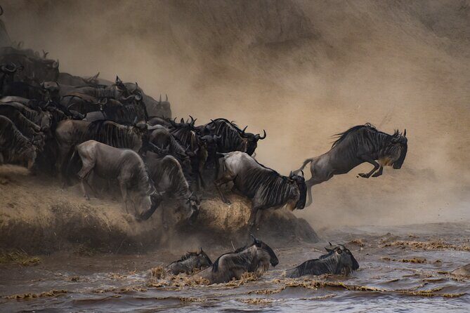 2-Day Sublime Safari to Tarangire and Ngorongoro Safari - What Travelers Love About This Safari
